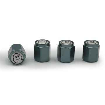 Michelin MC34273 Michelin Logolu Metal Universal Sibop Kapağı 4 Adet