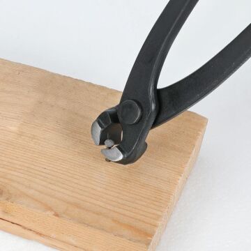 WORKPRO WP231123 250mm CR-V Profesyonel Betoncu Kerpeteni